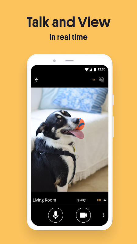 AlfredCamera: Home Security